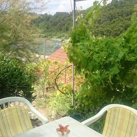 Tonka Novigrad (Dalmatia)