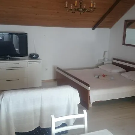 Apartment Tonka Novigrad (Dalmatia)