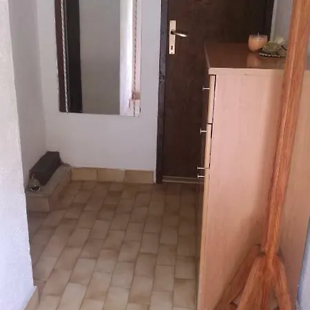 Apartment Tonka Novigrad (Dalmatia)