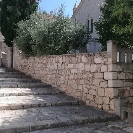 Tonka Novigrad (Dalmatia)